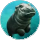 Hippo Image