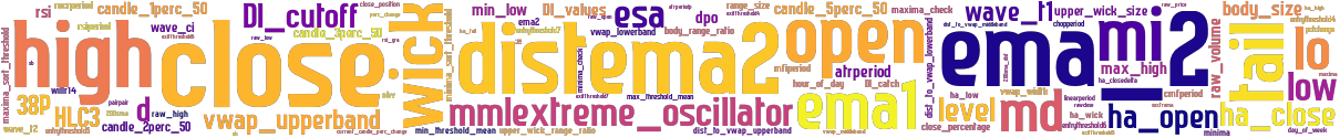 Wordcloud