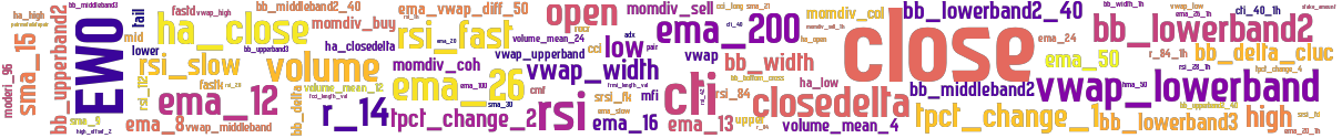 Wordcloud