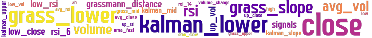 Wordcloud