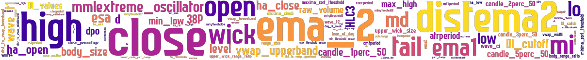 Wordcloud