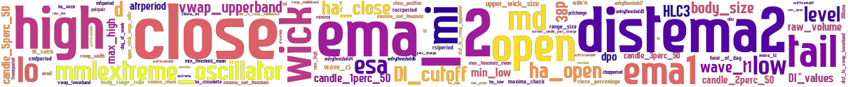 Wordcloud