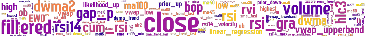 Wordcloud