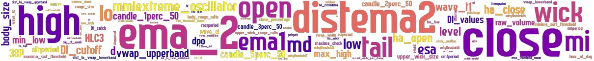 Wordcloud